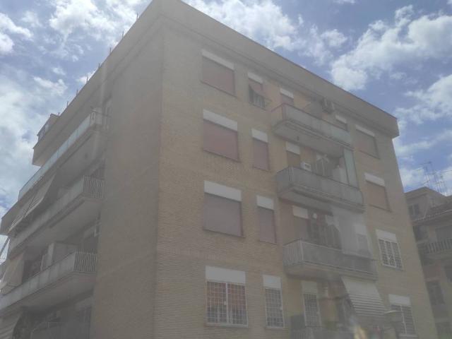 Appartamento in affitto a Roma RM