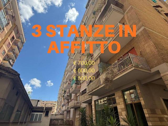 Appartamento in affitto a Roma RM