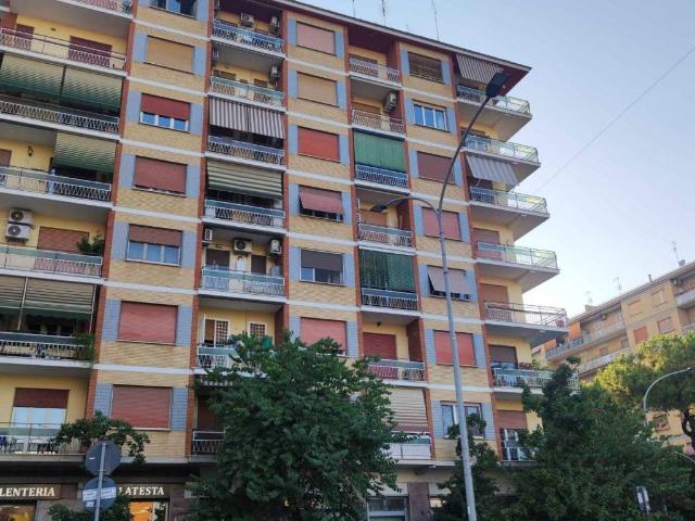 Appartamento in affitto a Roma RM