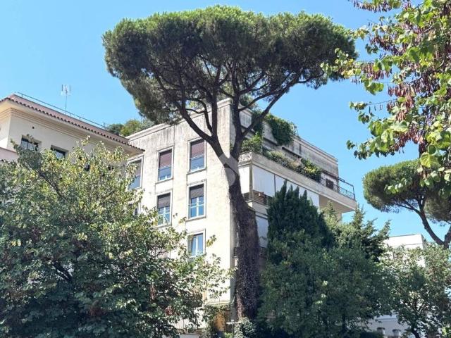 Appartamento in affitto a Roma RM