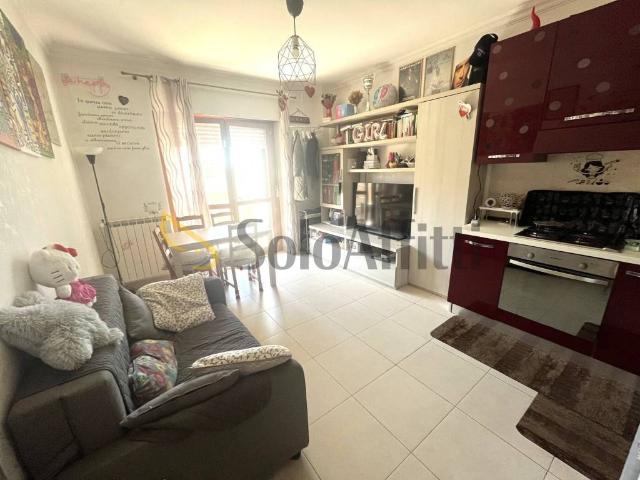 Appartamento in affitto a Roma RM