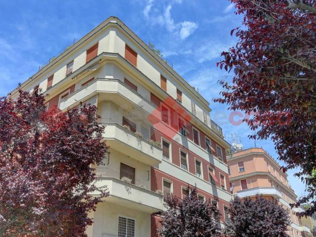 Appartamento in affitto a Roma RM
