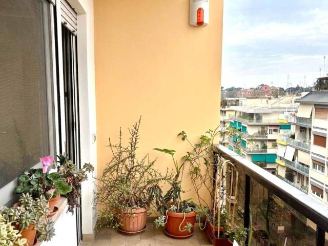 Appartamento in affitto a Roma RM