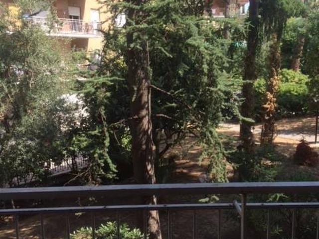 Appartamento in affitto a Roma RM