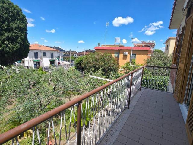 Appartamento in affitto a Roma RM
