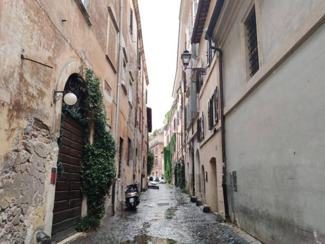 Appartamento in affitto a Roma RM