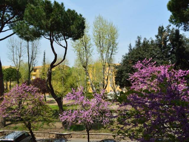 Appartamento in affitto a Roma RM