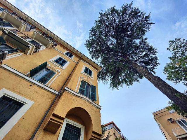 Appartamento in affitto a Roma RM