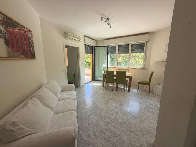 Appartamento in affitto a Roma RM