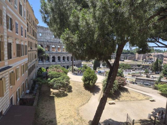 Appartamento in affitto a Roma RM