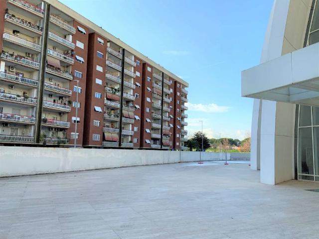 Appartamento in affitto a Roma RM