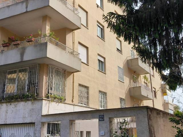 Appartamento in affitto a Roma RM