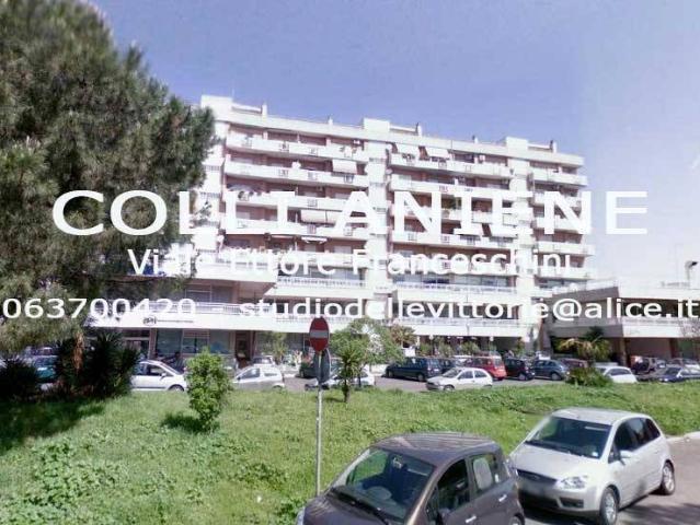 Appartamento in affitto a Roma RM