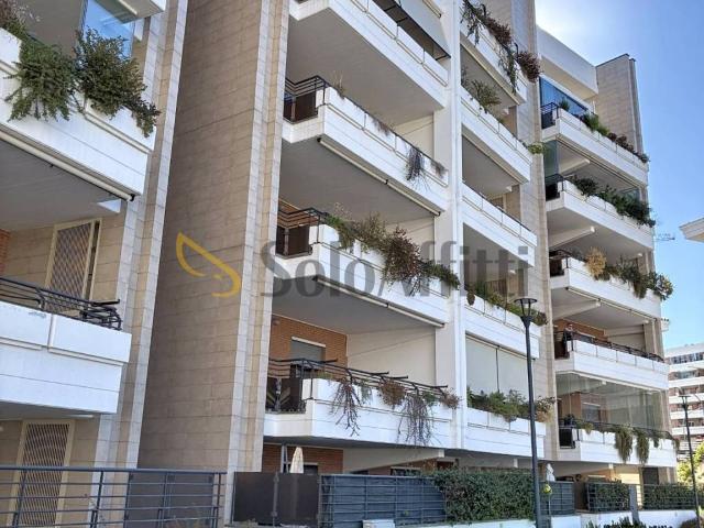 Appartamento in affitto a Roma RM