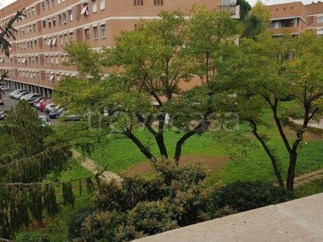 Appartamento in affitto a Roma via Mario Mona, 21, arredato, terrazzo, ristrutturato TrovaCasa