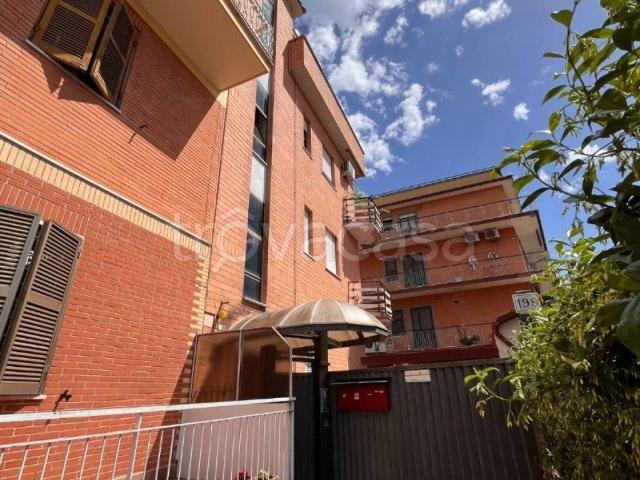 Appartamento in affitto a Roma via Achille Vertunni, 198, terrazzo, vicinanze negozi, balcone TrovaCasa