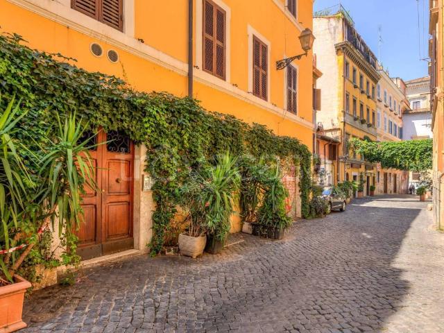 Appartamento in affitto a Roma via dell'Arco di San Calisto, 37, arredato, cucina a vista, doppi servizi TrovaCasa