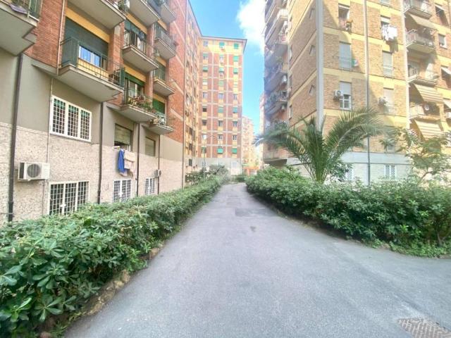 Appartamento in affitto a Roma via Filippo Meda, 169, parzialmente arredato, balcone, cucina abitabile TrovaCasa