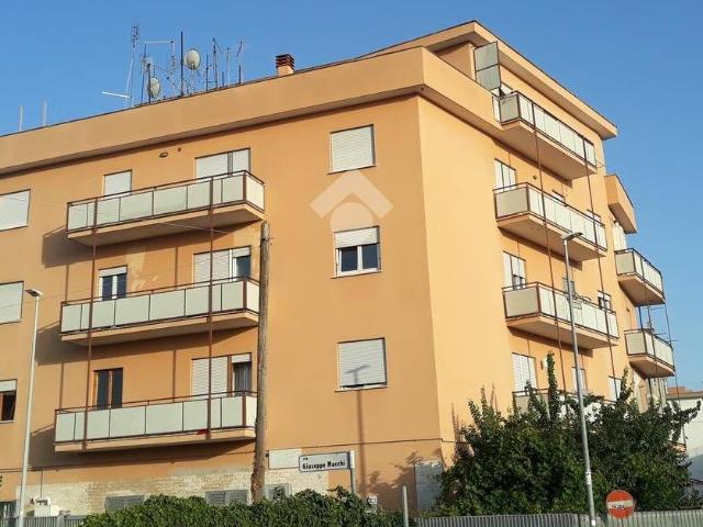 Appartamento in affitto a Roma via Giuserppe Macchi, 121, arredato, buono stato, centrale TrovaCasa