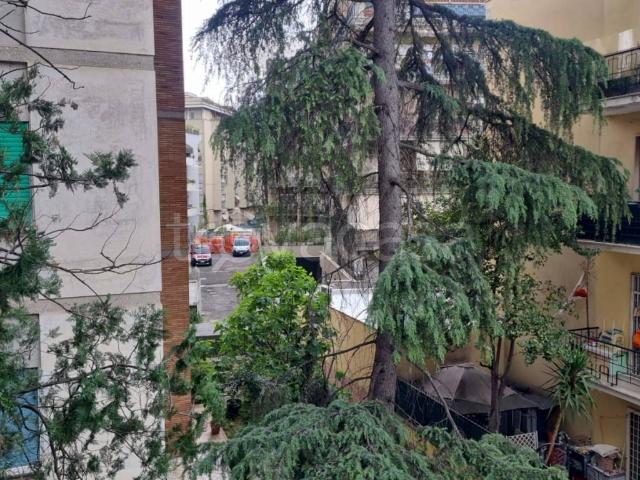 Appartamento in affitto a Roma via Jacopone da Todi, 10, arredato, balcone, cucina abitabile TrovaCasa