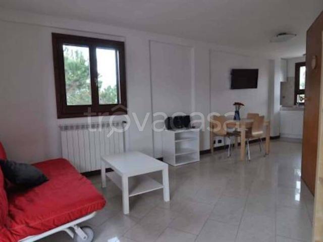 Appartamento in affitto a Roma via Lorenzo Allievi, arredato, balcone, studio TrovaCasa