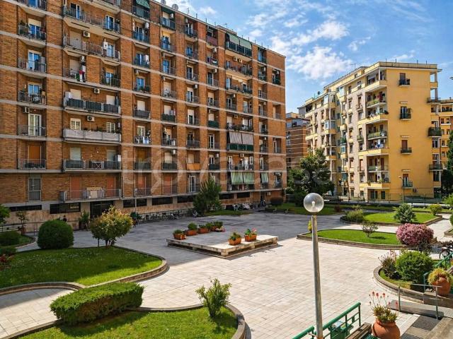 Appartamento in affitto a Roma via Rosa Guarnieri Carducci, arredato, doppia esposizione, vicinanze negozi TrovaCasa