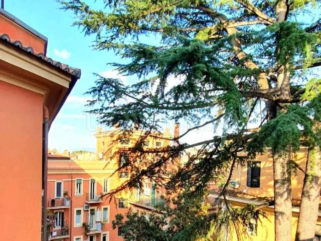 Appartamento in affitto a Roma via Volsinio, arredato, box, ascensore TrovaCasa