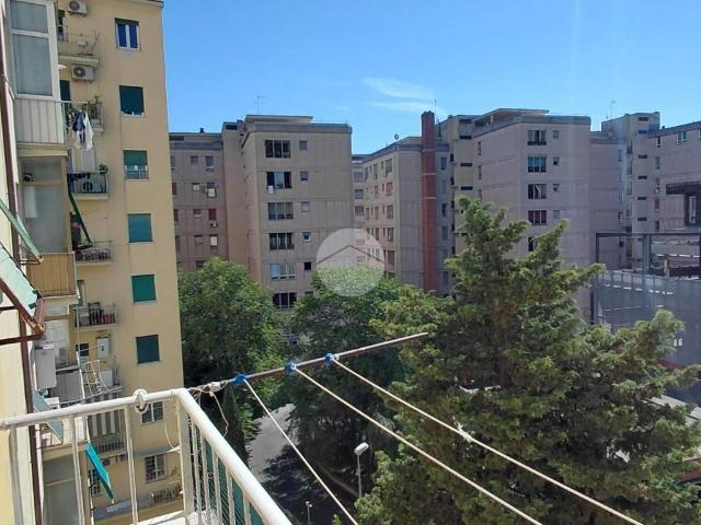 Appartamento in affitto a Roma viale Libia, 22, arredato, contesto signorile, balcone TrovaCasa