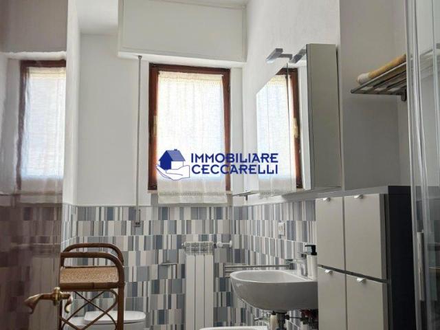 Appartamento in affitto a Ronchi Massa
