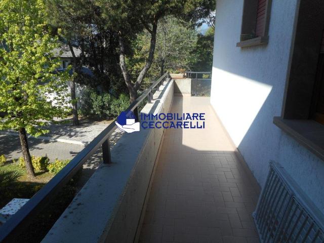 Appartamento in affitto a Ronchi Massa