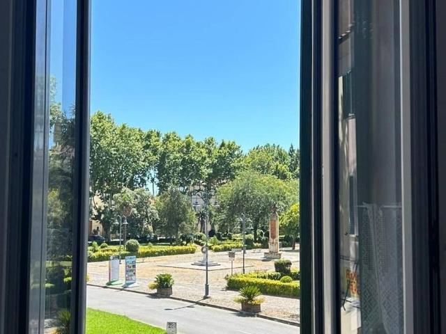 Appartamento in affitto a Rosignano Marittimo
