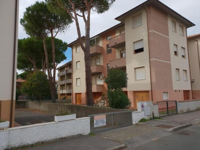 Appartamento in affitto a Rosignano Marittimo