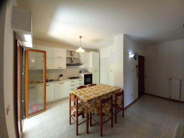 Appartamento in affitto a Rosignano Marittimo