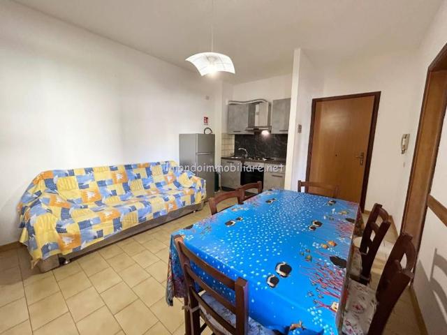 Appartamento in affitto a Rosignano Marittimo LI