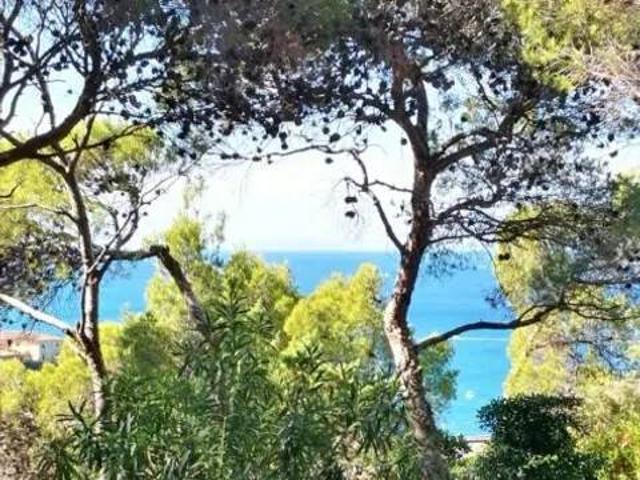 Appartamento in affitto a Rosignano Marittimo LI