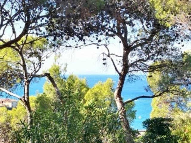 Appartamento in affitto a Rosignano Marittimo via mogadiscio, giardino privato, posto auto, box TrovaCasa