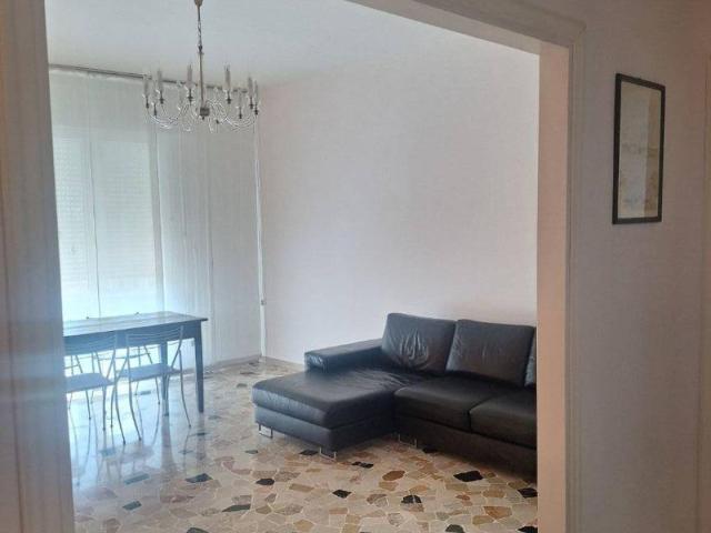 Appartamento in affitto a Rovigo RO