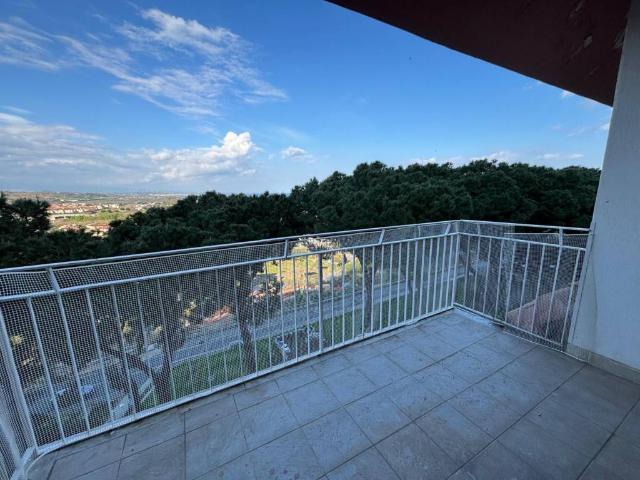 Appartamento in affitto a Stalettì CZ