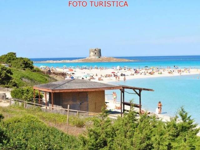 Appartamento in affitto a Stintino SS