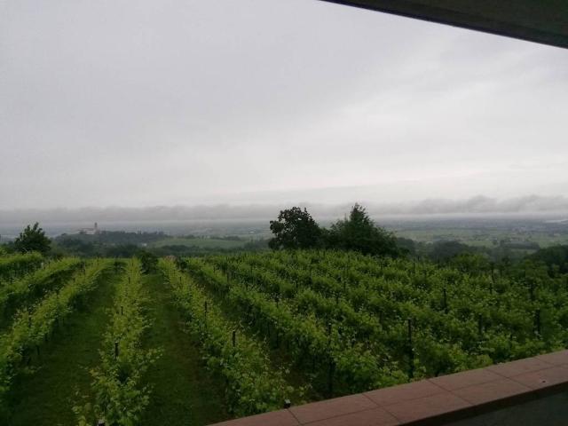 Appartamento in affitto a Susegana TV
