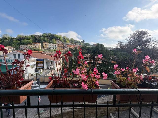 Appartamento in affitto a Sacrofano RM