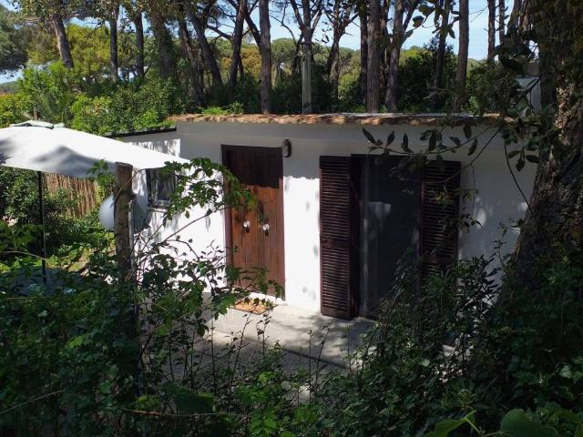 Appartamento in affitto a Sabaudia LT