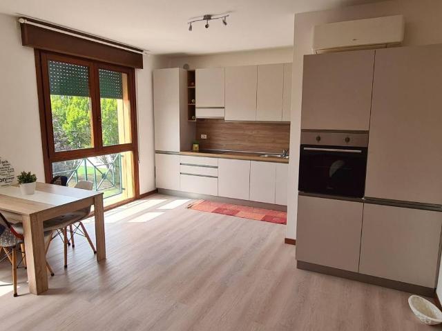 Appartamento in affitto a Saonara PD