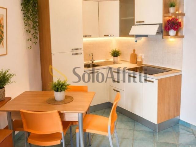 Appartamento in affitto a San Benedetto del Tronto viale Marconi, arredato, terrazzo, ascensore TrovaCasa