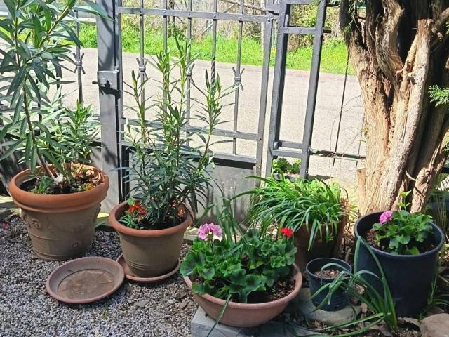 Appartamento in affitto a San Benedetto Val di Sambro BO