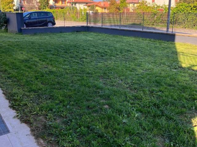 Appartamento in affitto a San Bonifacio VR