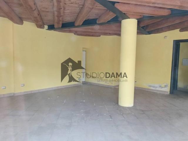 Appartamento in affitto a San Felice del Benaco BS