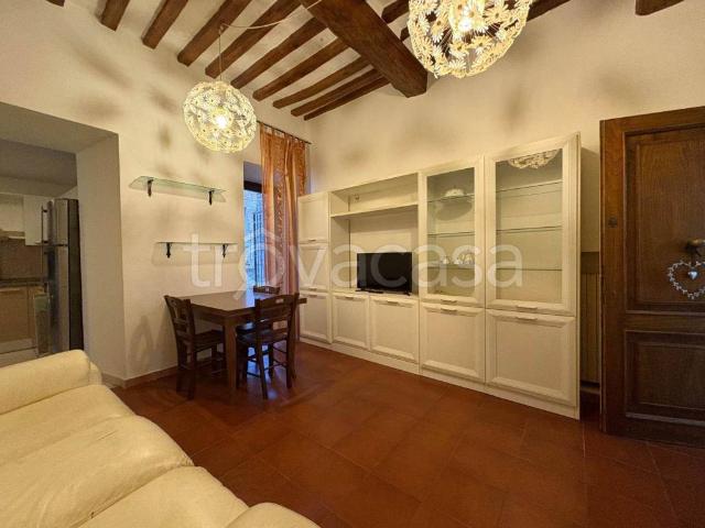 Appartamento in affitto a San Gimignano, terrazzo, centrale, cucina abitabile TrovaCasa