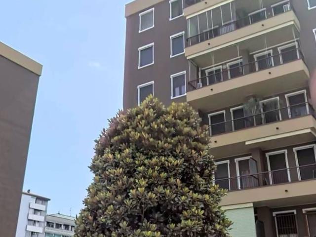 Appartamento in affitto a San Giuliano Milanese MI