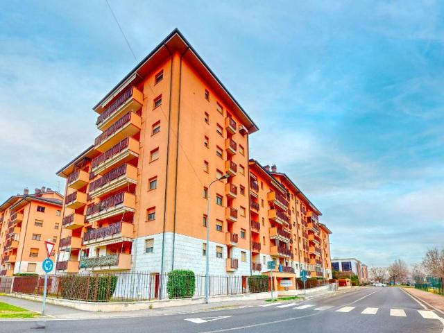 Appartamento in affitto a San Giuliano Milanese MI